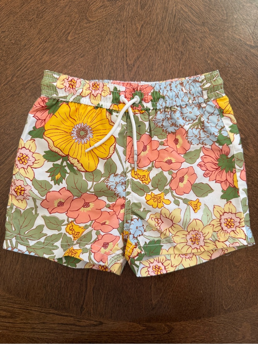 Toddler boy Janie and Jack 2T swim trunks bundle
